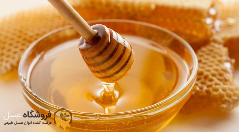 تولید عسل کلزا